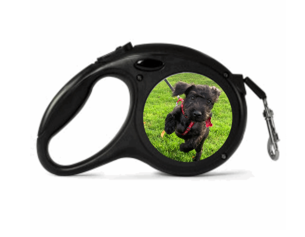 Retractable Photo Dog Leads