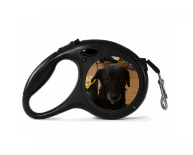 Retractable Photo Dog Leads